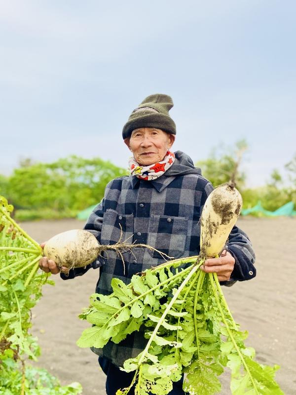 2025.3.23三舅所種的蘿蔔碩大又好吃