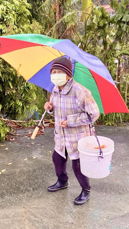 2025.4.6朱媽媽勤勞節儉天天到菜園